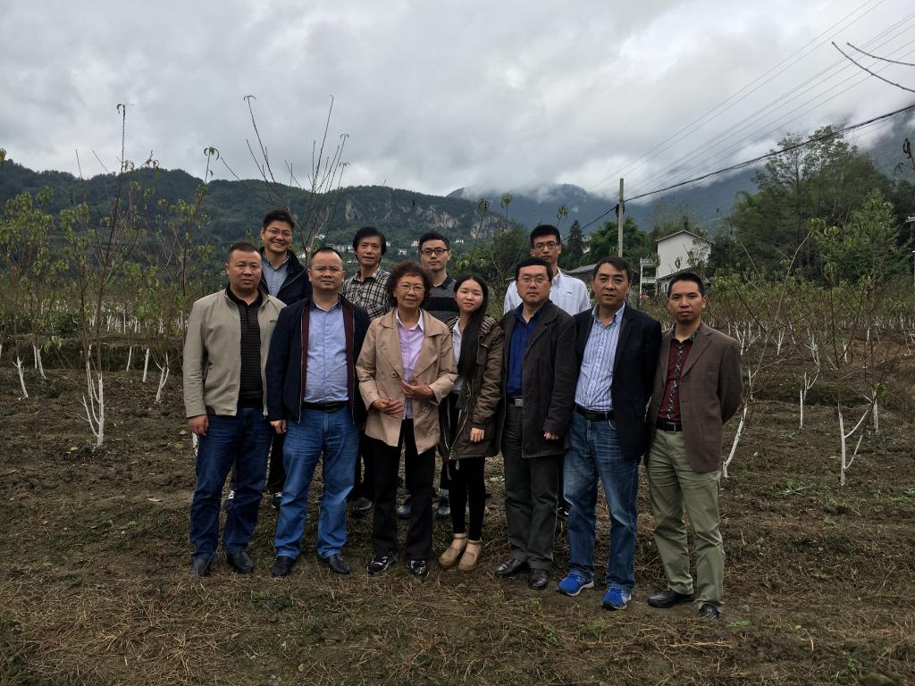 在湖北恩施州恩施市白杨坪乡麂子渡村水果基地考察